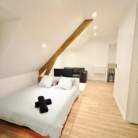 Romantique - Jacuzzi Prive, Wi-fi & Netflix A * Châtel-Guyon